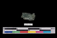 藏品(煤)的圖片